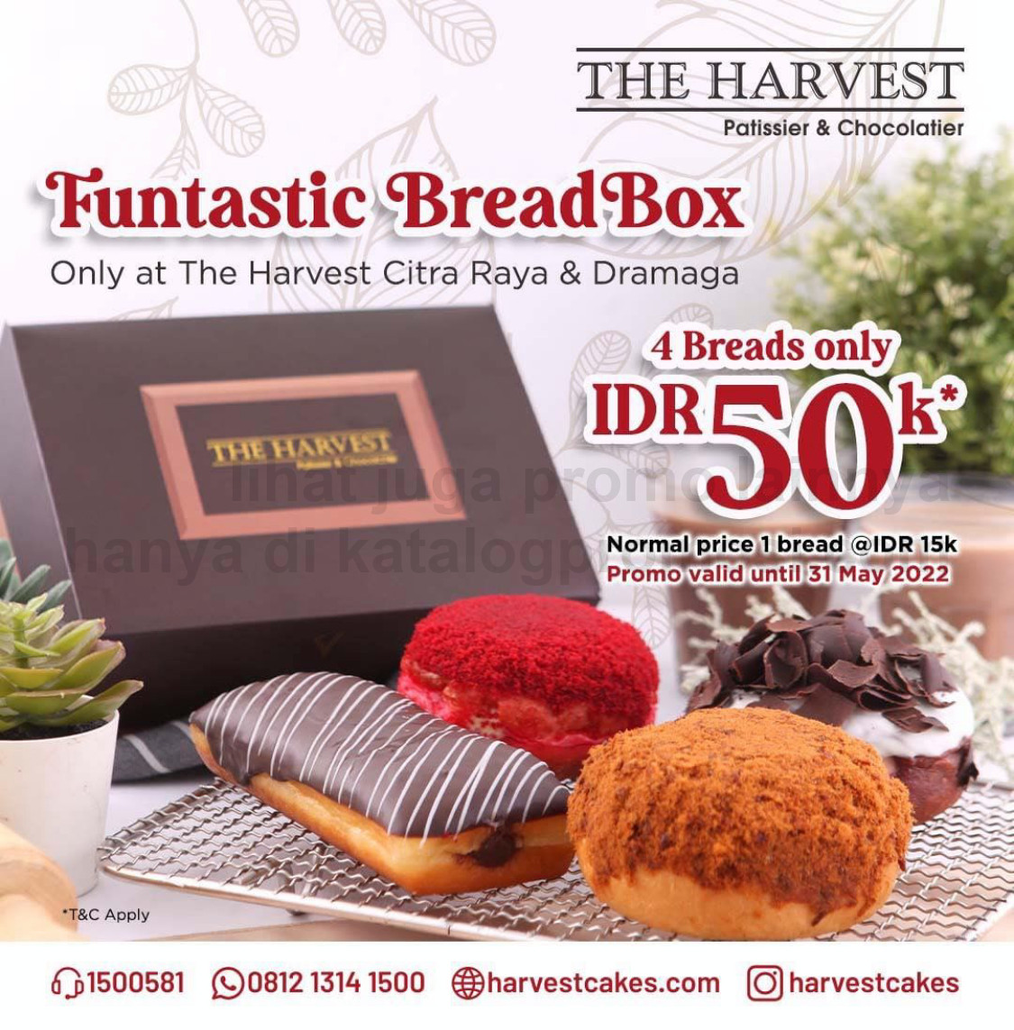 PROMO THE HARVEST Funtastic Bread Box - Paket 4 Roti Harga Spesial cuma Rp. 50.000