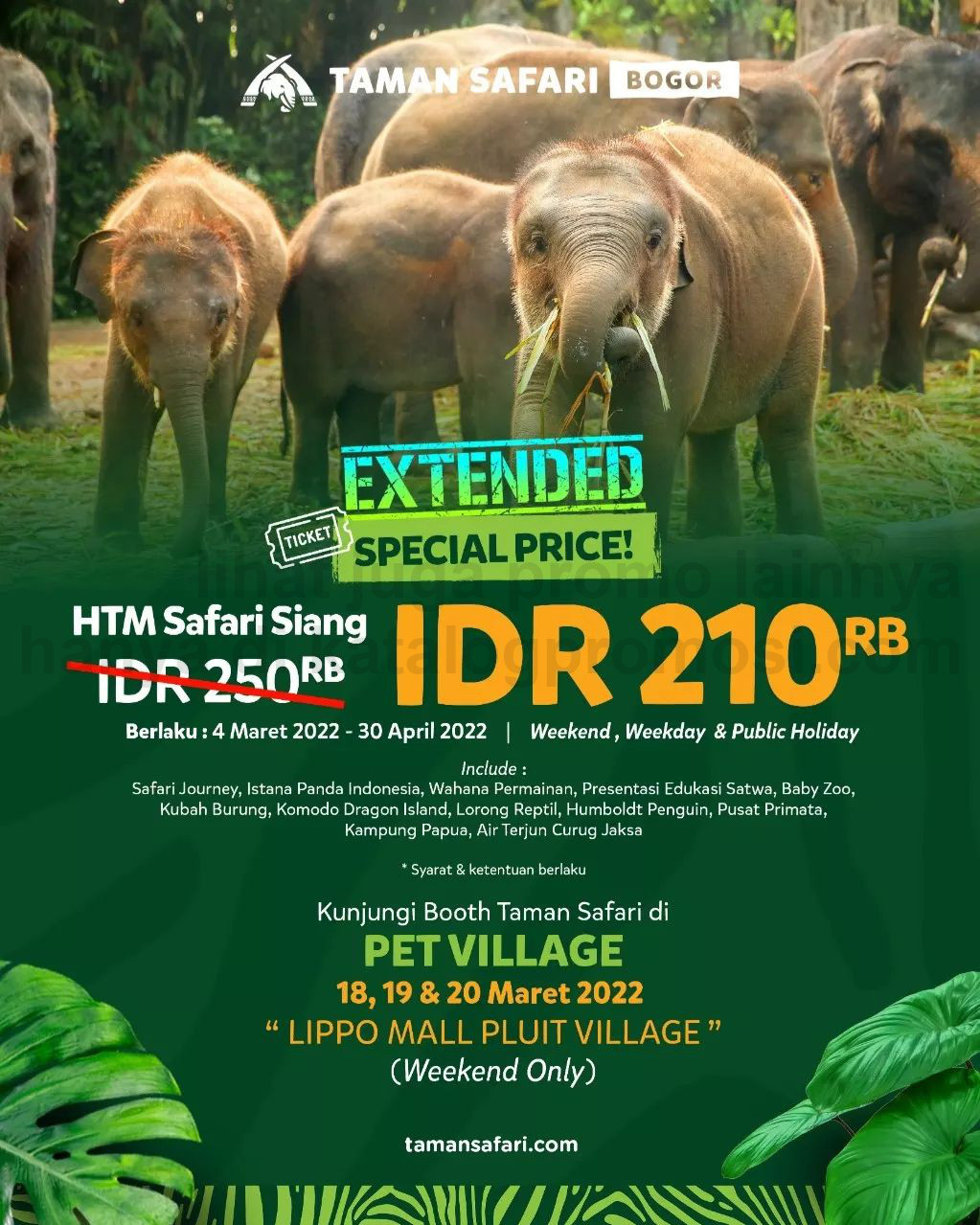 Promo TAMAN SAFARI SPECIAL PRICE Tiket Masuk Taman Safari Bogor dan DISCOUNT 20 % SAFARI RESORT