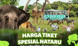 Promo TAMAN SAFARI SPESIAL NATARU - HARGA TIKET mulai Rp. 205.000