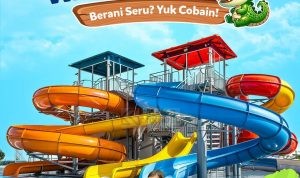 Taman Safari Bogor Liburan Seru GRATIS Akses Waterpark