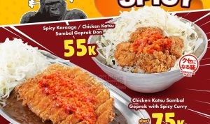 BARU Promo GO! GO! CURRY DOUBLE SPICY!