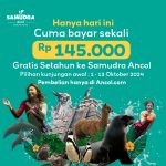 Promo FLASH SALE Annual Pass Samudra Ancol cuma Rp. 145.000