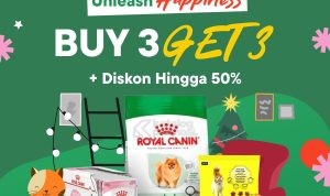 Promo FUR-EVER FUN di Blibli BUY 3 GET 3!