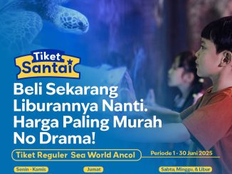Promo Sea World Ancol Tiket Santai Mulai Rp60.000