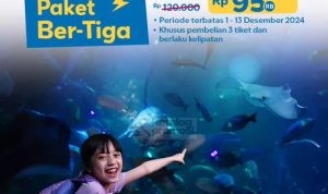 Promo Sea World Ancol Paket Hemat Ber-3 Mulai Rp95 Ribu