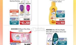 Promo JSM ALFAMIDI 09-12 JANUARI 2025