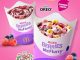Promo McDonalds NEW! Mixed Berries McFlurry 1