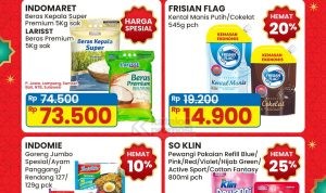 PROMO INDOMARET Hemat Minggu ini 13-19 MARET 2025