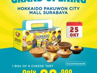 Promo Grand Opening Hokkaido Baked Cheese Tart Pakuwon City Mall Surabaya!