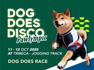 Dog Does Disco Pawlympic 2025 di Tribeca Park 1