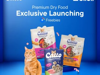 Promo Catto Premium Dry Food Exclusive Launching + Freebies di Blibli