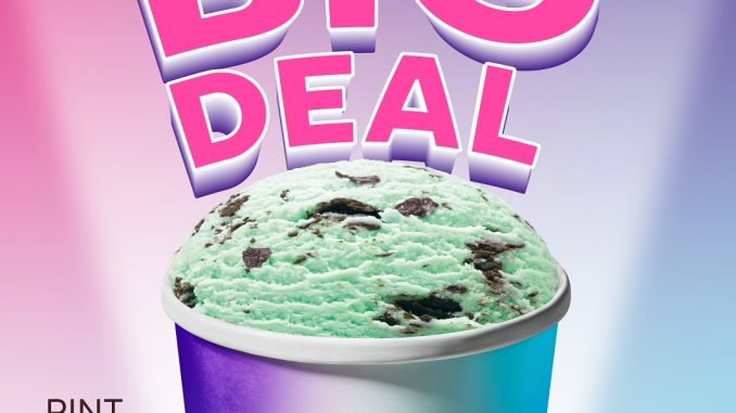 Promo Baskin Robbins Big Deal Ice Cream Pint Rp220.000