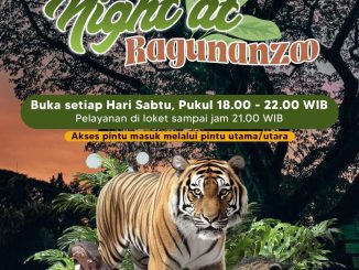Night at Ragunan Zoo di Jakarta 6