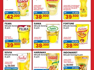 Promo INDOMARET MINYAK GORENG 04-10 Desember 2025 8