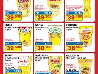 Promo INDOMARET MINYAK GORENG 13-19 November 2025 28