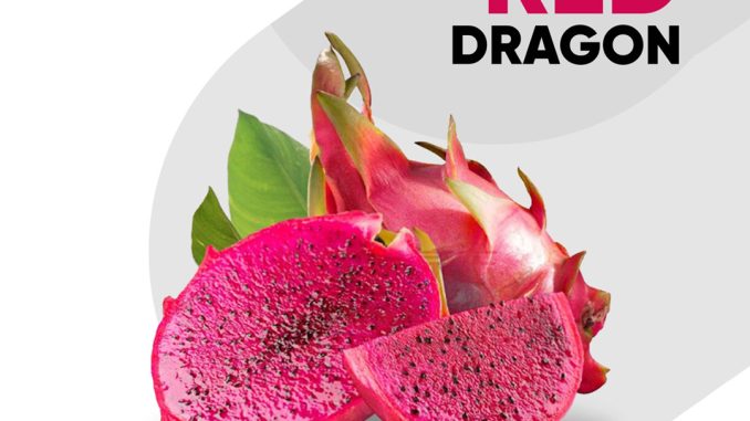 PROMO JSM Prama dan Borma 05-07 Desember 2025 1