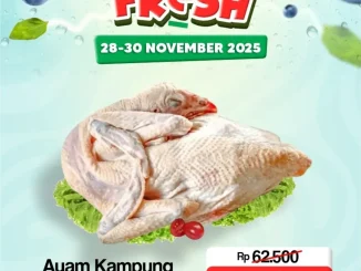 Promo Rita Pasaraya Weekend JSM 28-30 November 2025 10