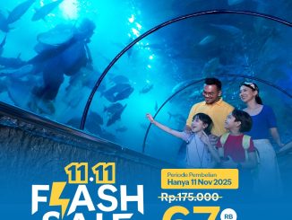 Promo Sea World Ancol Flash Sale 11.11 tiket masuk Rp.67.500 untuk kunjungan 13-31 Desember 2025