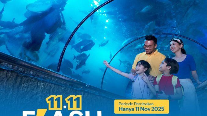 Promo Sea World Ancol Flash Sale 11.11 tiket masuk Rp.67.500 untuk kunjungan 13-31 Desember 2025