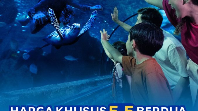 Promo Sea World Ancol 5.5 tiket berdua mulai Rp. 120.000 untuk kunjungan Mei 2026