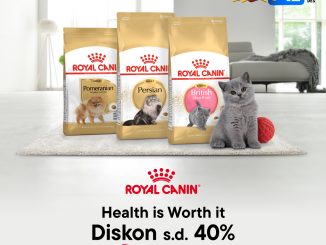 Promo Royal Canin Blibli 12.12 Diskon 40% + Ekstra Voucher!