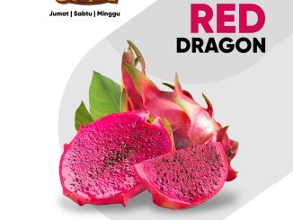 PROMO JSM Prama dan Borma 19-21 Desember 2025 3