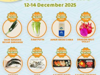 Promo Papaya Fresh Gallery Jakarta Weekend Fiesta 12-14 Desember 2025 9