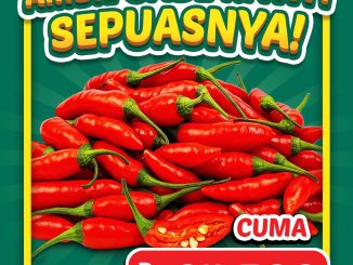 Promo MITRA Diskon Swalayan ambil cabe rawit sepuasnya Rp. 24.500