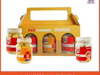 Promo Ina Cookies Shopee Hampers Mini Rp. 130.000 berisi Nastar, Kaastengels & Putri Salju