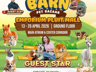 Bark & Barn Pet Bazaar di Emporium Pluit Mall, meet and greet with alpaca, mini horse, dan aktivitas hewan interaktif