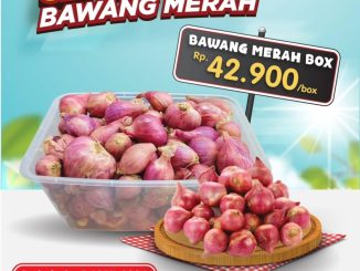 Promo Super Indo Ambil & Isi Sepuasnya Bawang Merah Rp. 42.900 periode 3 sampai 5 April 2026 menggunakan box khusus