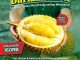 Promo Happy Harvest lelang durian monthong jumbo mulai Rp. 160.000 setiap weekend April 2026 di Bekasi