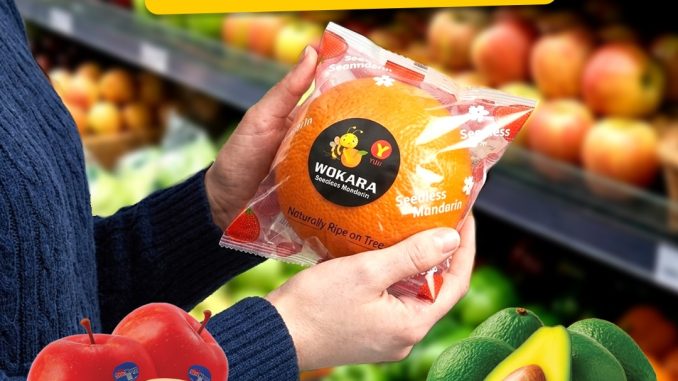 Promo Hypermart Weekday 06-09 April 2026