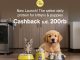 Promo Only Pets NEW! Pure+ Cashback hingga Rp. 200 ribu untuk pembelian protein harian kittens dan puppies di Blibli Pets Corner