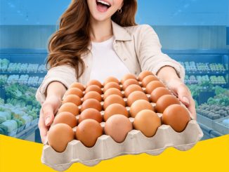 Promo Hypermart FLASH SALE Hanya 1 Hari dengan harga Telur Negeri Curah khusus pembayaran OVO di wilayah Jawa