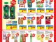 PROMO INDOMARET Hemat Minggu ini 11-17 Juni 2026