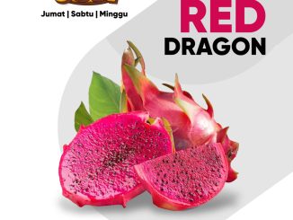 PROMO JSM Prama dan Borma 12-14 Juni 2026
