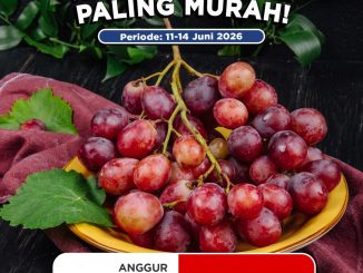 Promo JSM Ramayana Robinson terbaru 11-14 Juni 2026