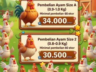 Promo JSMS Prima Mart 12-15 Juni 2026