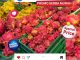 Promo LOTTE GROSIR HITS AKHIR PEKAN 11-14 Juni 2026