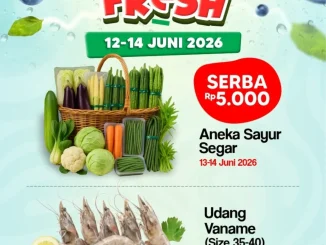 Promo Rita Pasaraya Weekend JSM 12-14 Juni 2026
