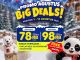 Promo Trans Snow World Bekasi Big Deals tiket bermain salju dengan harga khusus Agustus 2026