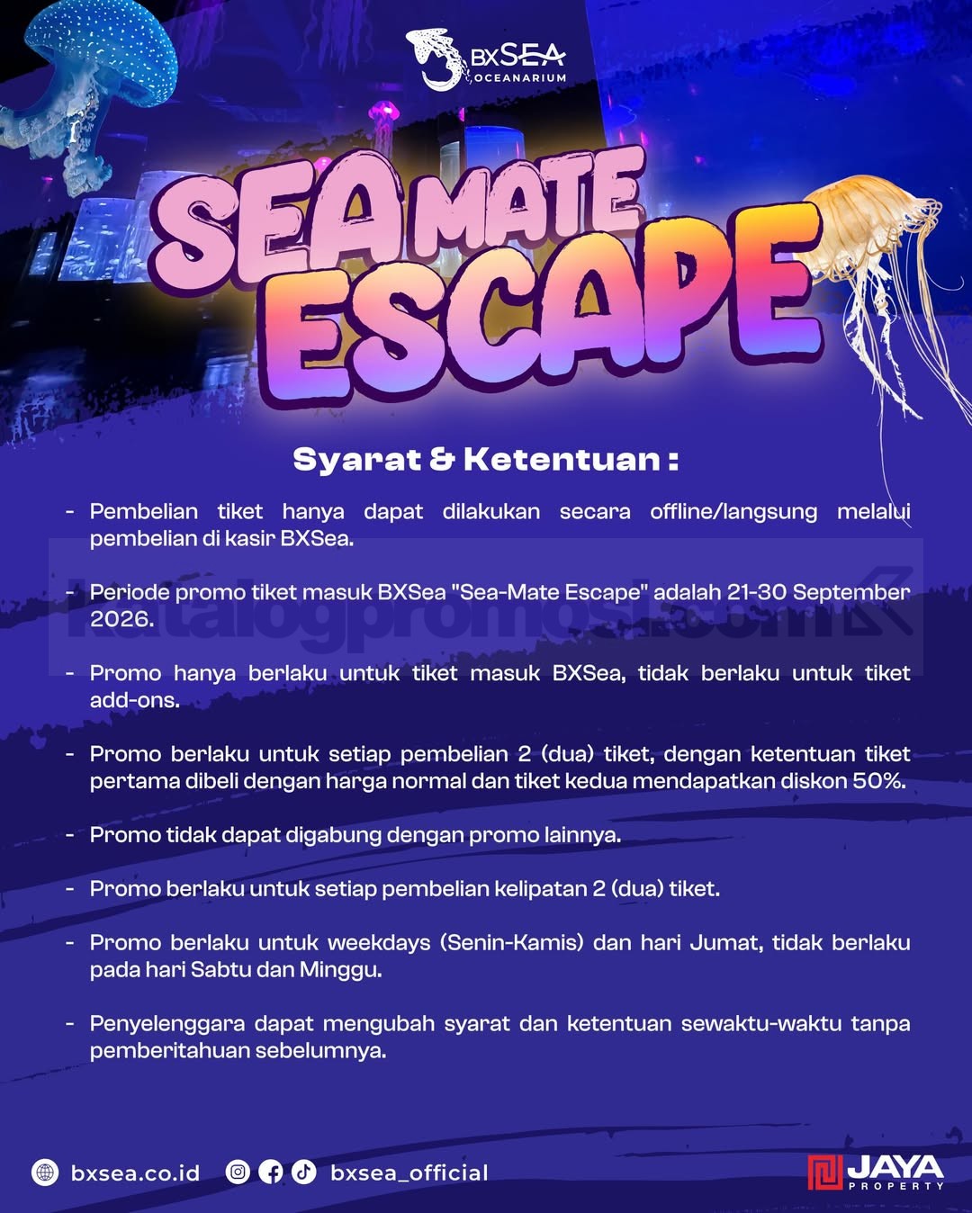 Promo BXSea Sea-Mate Escape Beli 2 Tiket Diskon 50% Promo BXSea Sea-Mate Escape Beli 2 Tiket Diskon 50% 1