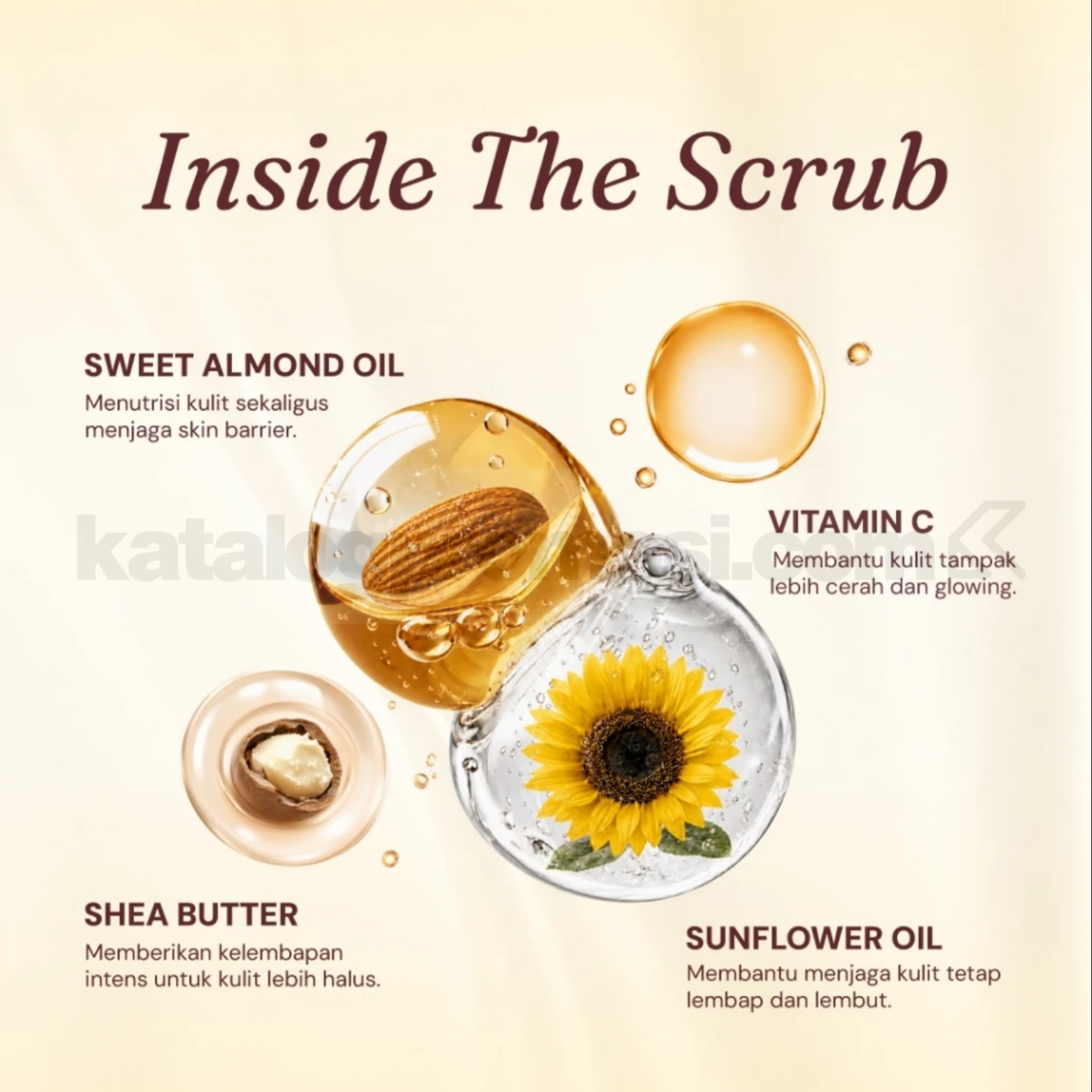 Promo Buttered NEW! Almond Body Scrub 2-in-1 Mask + Scrub Promo Buttered NEW! Almond Body Scrub 2-in-1 Mask + Scrub 2